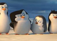 《马达加斯加的企鹅》信任和支持，才是团队协作的基石