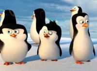 《马达加斯加的企鹅》信任和支持，才是团队协作的基石