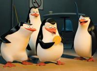 《马达加斯加的企鹅》信任和支持，才是团队协作的基石