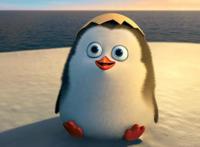 《马达加斯加的企鹅》信任和支持，才是团队协作的基石