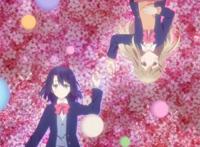 B站自查下架新番动画《樱与抱月》，粉丝抱怨阿B偏心得离谱