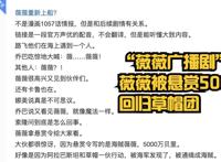 海贼王：王炸！“薇薇广播剧”暗示薇薇是第十人，悬赏金5000万