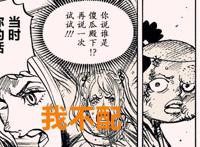 海贼王1016话：明明薇薇公主也被骂圣母，为何大家却不接纳大和？
