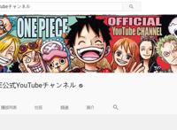 《海贼王》间接官宣，草帽海贼团全员到齐，第十一人是薇薇