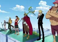 海贼王美女性转，罗宾成熟，薇薇温柔，颜值最高还是女帝