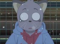 冷门成人番完结，或为上半年最佳