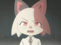 可爱动物的硬核悬疑故事，剧场版《奇巧出租车》监督木下麦的访谈