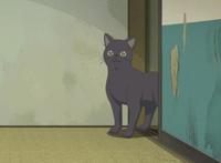 奇巧计程车：剧本收官，恭喜完结，白川小姐yyds