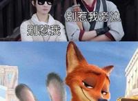 真人版《疯狂动物城》？赵丽颖是兔子朱迪，王一博是狐狸尼克