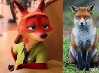 疯狂动物城角色穿越到现实生活后，朱迪萌化人心，牛局长超搞笑