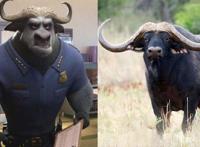 疯狂动物城角色穿越到现实生活后，朱迪萌化人心，牛局长超搞笑