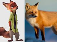 当《疯狂动物城》来到了真实的世界，朱迪萌化人心，闪电傻得可爱