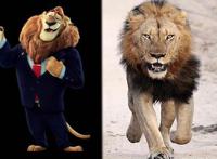 当《疯狂动物城》来到了真实的世界，朱迪萌化人心，闪电傻得可爱