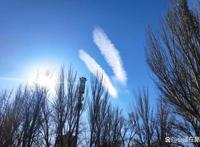 东风吹散梅梢雪，一夜挽回天下春