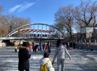 东风吹散梅梢雪，一夜挽回天下春