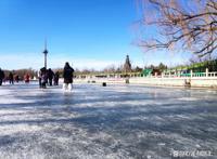 东风吹散梅梢雪，一夜挽回天下春