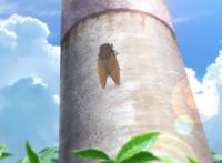 解析《放学后海堤日记》第十话，钓鱼狂魔阳渚上线，沙耶香露脸