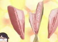 解析《放学后海堤日记》第十话，钓鱼狂魔阳渚上线，沙耶香露脸