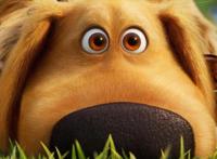 《飞屋环游记》衍生剧发布预告，定档9月1，熟悉的角色们回归啦！