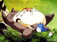 宫崎骏大师动画电影《龙猫》，龙猫原型原来不是猫，是南美洲栗鼠