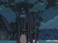 《龙猫》：真正想表达的寓意你理解了吗？龙猫你真的看懂了吗？