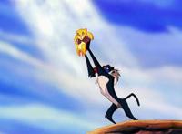 原来动画是真的！摄影师意外拍到狮子王经典场景，这孩子是辛巴吗