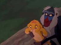 原来动画是真的！摄影师意外拍到狮子王经典场景，这孩子是辛巴吗