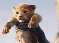 再品真人版《狮子王》：终究学会长大，终究懂得面对