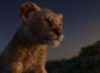 《狮子王》简单故事背后那些流传千年的深刻哲理