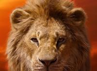 写实真人版《狮子王》角色海报公开，有种在看动物世界频道的错觉