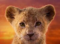 写实真人版《狮子王》角色海报公开，有种在看动物世界频道的错觉