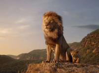 《狮子王》高开低走？不是动画太经典，实在是“真狮”不争气