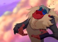 狮子王：动漫界的王子复仇记，可惜真人版没有真人，更没有真狮子