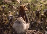 带你看看：迪士尼2019年《狮子王》和1994年《狮子王》的对比