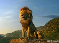 25年前的狮子王，25年后的狮子王，到底辛巴有什么不一样？