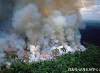 《机器人总动员》：流浪宇宙七百年，不敌一句回家真好