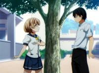 喜欢本大爷就你一个：众萌妹集体大告白，友情与爱情之间做出选择