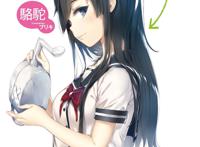 评新番《喜欢本大爷的竟然就你一个？》