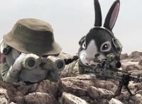 这部红遍全网的经典动画电影，却很少人知道它的名字——猫屎一号