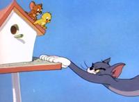 童年回忆杀，B站就能看的4部美国动画，当初看这片的人都结婚了吧