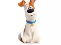 20多部动画电影大战暑期档国产动画能否突出重围？