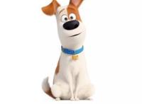 20多部动画电影大战暑期档国产动画能否突围？