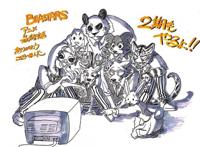 动漫周资讯丨《紫罗兰》国内定档，《EVA》明年6月上映