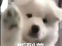 人气动漫《神之塔》同名手游要来了！你准备好开启伟大旅程了吗？