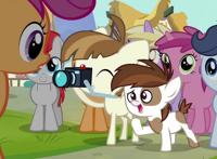 小马宝莉：寻找沉默的小马，你有听过他们的声音吗？