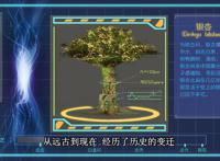 叶罗丽：他们都是生活在人类世界的仙子，而你记得菲灵却遗忘了他