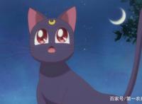 二次元碰撞三次元，动漫萌宠来袭！快来用“照妖镜”看看原型吧！