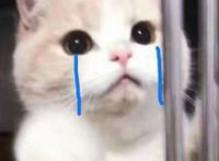 隐瞒之事：隐瞒一些对你不能讲的事