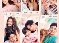 《宠爱》票房已达4.3亿元，新年初始还有哪些影片值得期待？