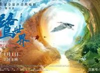 等了一整年，压轴大戏它来了